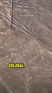 21K views · 504 reactions | 﫨¿sera? | Roccohistoria | Facebook