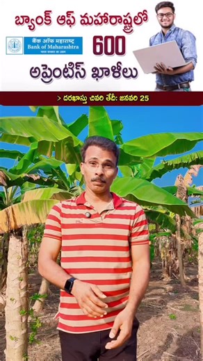 The Bank of Maharashtra is recruiting apprentices for 600 vacancies. Online applications are open from January 15, 2026, to January 25, 2026. The apprenticeship is for a one-year training period and selection is based on merit, without a written exam or interview. Selected apprentices will receive a fixed monthly stipend of ₹12,300. To be eligible as of November 30, 2025, candidates must hold a Bachelor’s degree from a recognized university and be between 20 and 28 years old (with age relaxation