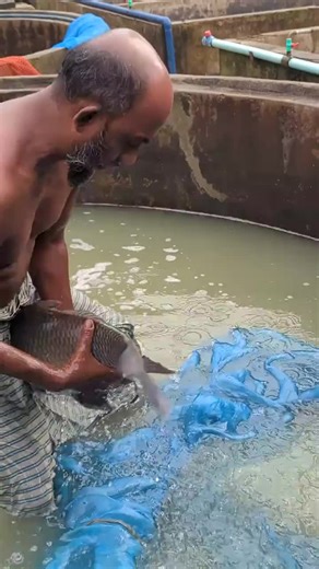 Unlocking Gboard Clipboard Features