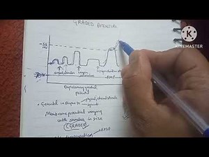 Graded potential vs action potential physiology