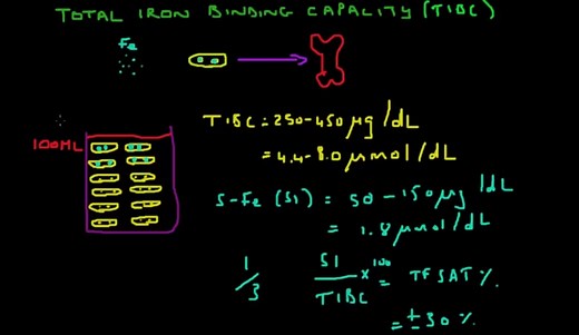 Understanding the TIBC Blood Test Results - HRF