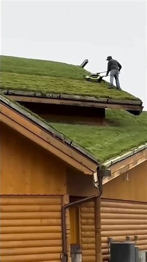 Why Norway Covers Roofs with Grass! #Norway #GrassRoof