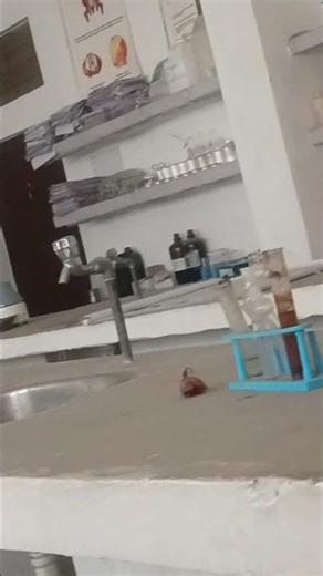 zoology lab 🧫 practical #biology #trading #science