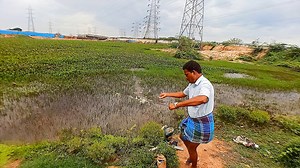 1.1M views · 10K reactions | Amazing Fishing Day with Very Hectic Fishing Moment #fishing #fishingvideos #lake #thoondilulagam | Thoondil Ulagam - Fishing | Facebook