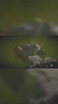 Captain Price Almost DIES From Chemical Gas ☠️