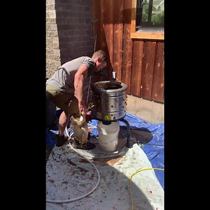 🐔Chicken Plucker Machine, 20" Diameter Stainless Steel Drum, 500W Motor for Efficient Poultry Plucking🐔 | VEVOR Home Improvement