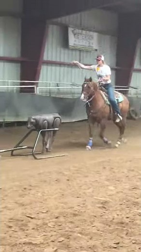 Learning how to breakaway on the Tuf Kaf 2.0/jr roping dummy