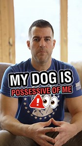 118K views · 3.6K reactions | "My dog is protective of me. What do I...