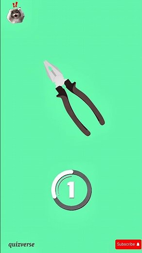 let's play the picture quiz | Quiz Time