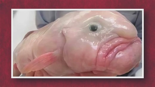 25 bizarre facts you didn't know