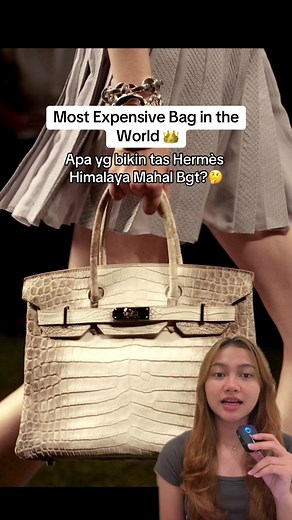 Most Expensive Bag in the World 👑