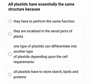 All plastids have essentially the same structure because they h... | Filo