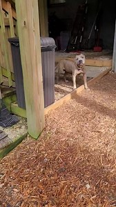 542K views · 1.4K reactions | There's something pretty exciting...