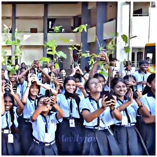 🌀 Girl save the tree🌲💕Don't cut my tree😭💕 #shorts #viral #lovestatus #savetrees #love #tree#trending