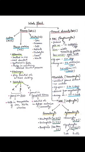 Rashi Gupta | PhD Scholar on Instagram: "Very basic but important for GPAT and CSIR NET 📖 Blood is a body fluid in the circulatory system of humans and other vertebrates that delivers necessary substances such as nutrients and oxygen to the cells, and transports metabolic waste products away from those same cells. Blood is composed of blood cells suspended in blood plasma. Plasma, which constitutes 55% of blood fluid, is mostly water (92% by volume), and contains proteins, glucose, mineral ions