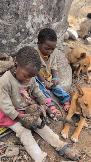 African Tribes on Instagram: "“The Hadzabe remind us that nature provides everything, even raw and ready😋😅 #tanzania #food #africa #villagelife #serengeti"