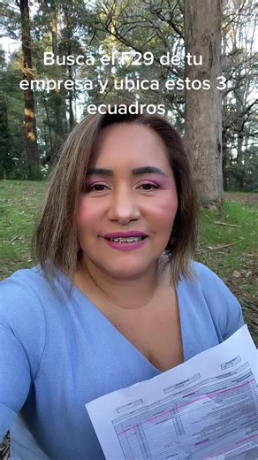 Guía Completa sobre el Formulario 29 en Chile