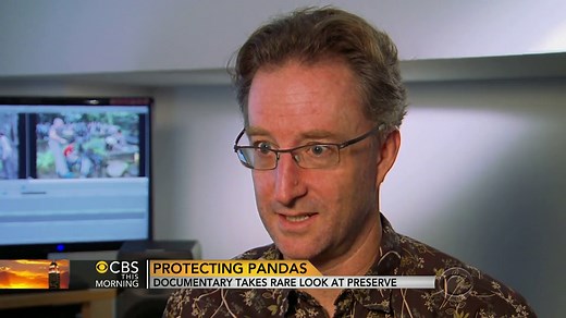 Panda Paradise: Chinese breeding center hopes to protect world panda populations