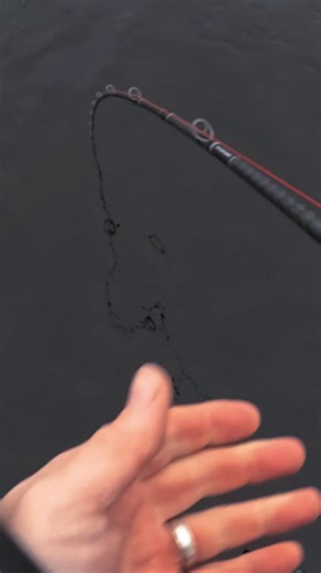 Boom! Big pike hits the Deviator Tail. 💥🎣 Awesome clip captured by Ryan O' Donoghue during a crisp January session. 🎣 #savagegear #savageworld #deviatortail | Savage Gear UK