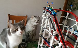 乐高过山车完工！！大！巨大！！超豪华！细节到位！！试玩一下。