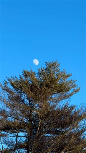 182 reactions · 36 shares | The incredible alignment of the moon, Jupiter, and Aldebaran tonight is a beautiful metaphor for life’s journey. Each celestial object shines in its own way, just as we each have our unique paths. Embrace wherever you are on your own journey! #JourneyToGreatness #CelestialAlignment #Inspiration | The Night Sky Guy | Facebook