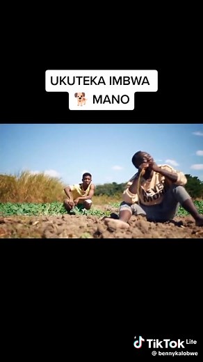 Ukuteka imbwa playing | KNACK UNITY