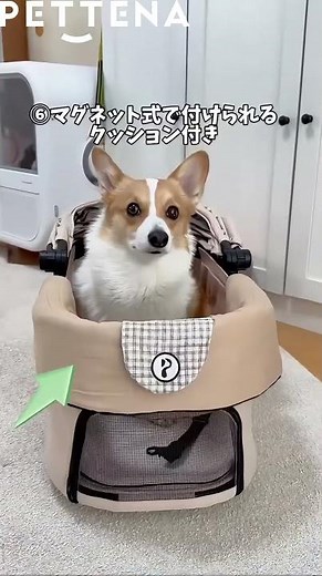 【1台3役】カート・キャリー・おうちにもなる！ORION 多機能ペットカートの魅力