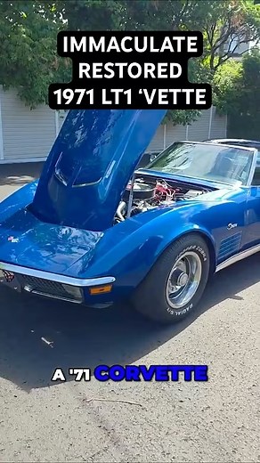 1971 Corvette 350 LT1 spec pre purchase remote inspection for a...