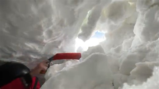 30K views · 152 reactions | When an avalanche strikes, these dogs are trained and ready to respond. Shelby Lofton shows us how they train to save lives. Watch Snow Squad: Mountain Rescue Dogs tonight at 10 on KSL. | KSL 5 TV | Facebook