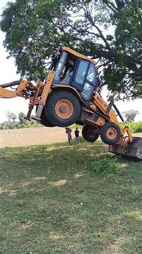 Bull machine #trendingshorts