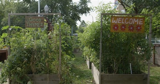 Nuestra Herencia:Nuestra Herencia Season 2024 Episode 10/13/2024