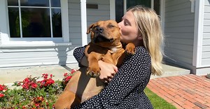 Adopt, Don't Shop With 10 Dog Adoption Centres In Auckland