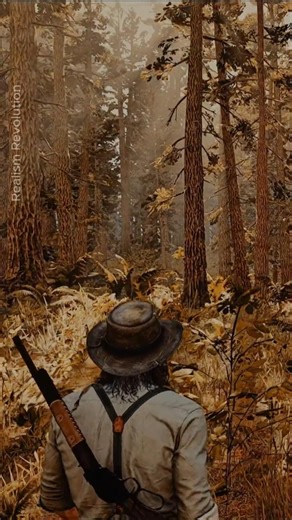 RDR2 in 2026 On Autumn it is unbelievable. #rdr2 #photorealistic #realism #modding #4k