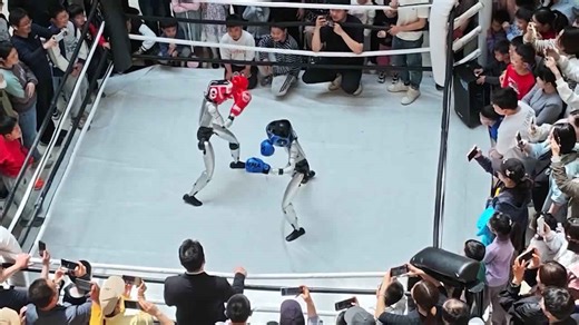 All jab, no jaw! Robot boxers throw punches that land on thin air in China