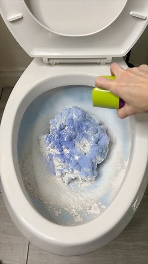 1M views · 3.2K reactions | The correct way to clean your toilet | The Alexa Show | Facebook