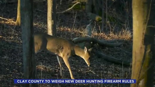 Clay County to weigh new deer hunting firearm rules | Haystack News