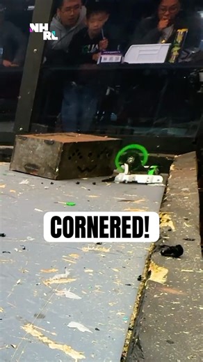 Buzzzz-Kill Takes Xenomorph Apart Piece by Piece