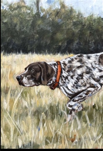 Meet My Favorite Bird Dog Soon Available!