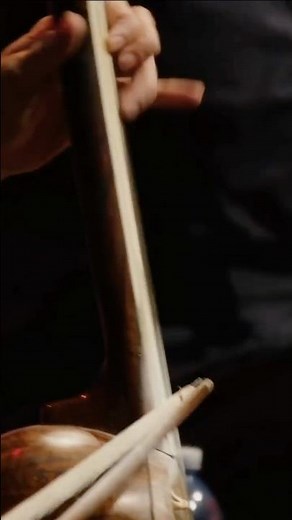 Kayhan Kalhor & Kiya Tabassian, kamancheh & setar #persianmusic