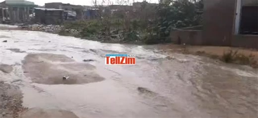 #mcupdates Masvingo town and many parts of Masvingo Province received a substantial amount of rainfall last night (16 November) This is Jazire in Victoria Ranch Via TellZim follow our channel for more details ✅ | Masvingo Connect