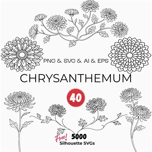 Chrysanthemum Line Art SVG, Birth Flower Floral Outline, Botanical PNG (instant Download) - Etsy