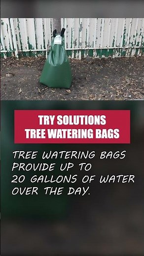 Use Tree Watering Bags to Keep Your Trees Watered!