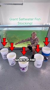 Giant Saltwater Fish Stocking! 😱 | The Fish Guys