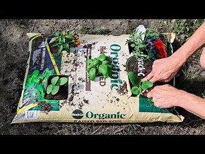 What Happens When You Plant a WHOLE GARDEN in Just ONE BAG of Soil?