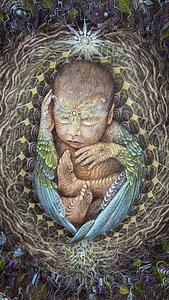 7.2K views · 204 reactions | Amazing moments from a truly magical,...