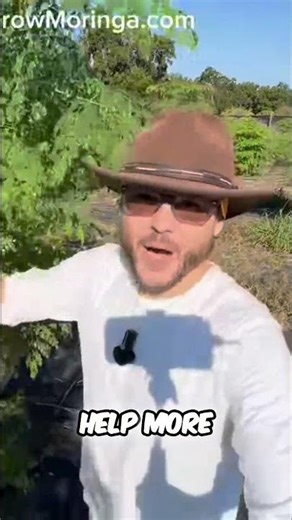 10 Years of Business Growth Bulk Moringa Products Available Now!