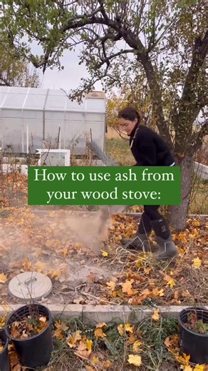 104K views · 19K reactions | Wood Ash Uses ⬇️ Cozy wood stove season...