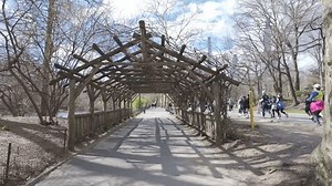 Nouvel York, Nouvel York, États-Unis - 7 avril 2024 Vidéo 4K de Central Park Trellis avec coureurs.