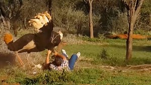 38K views · 76 reactions | This is the insane moment an unsuspecting engineer falls foul of an outraged ostrich who attacks him. | Storytrender | Facebook