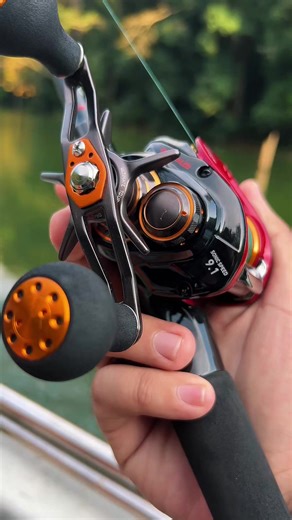 Daiwa HRF: From Standard to Racing Performance